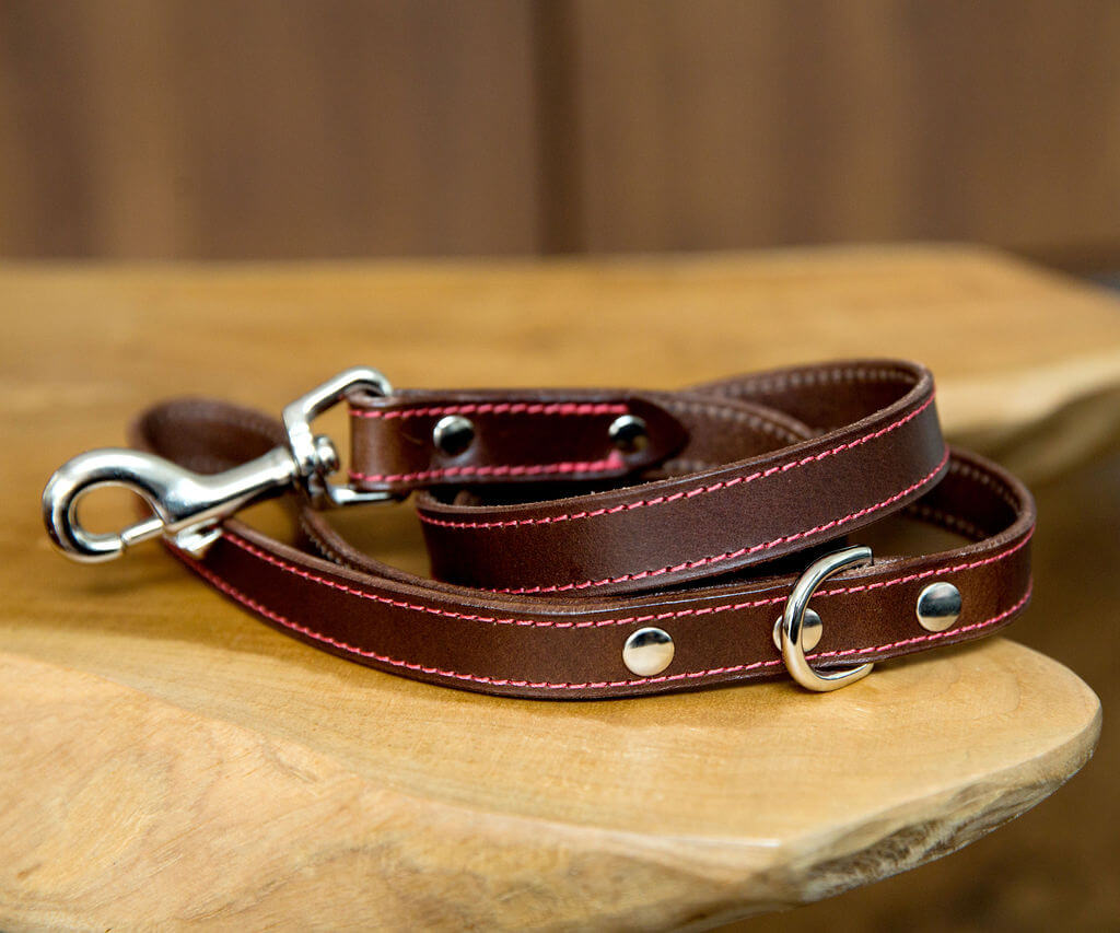 Hand Stitched Leads – Coco & Blu
