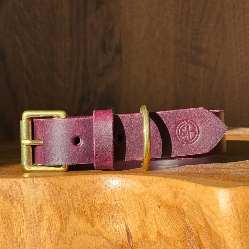 Coco Classic Collar in Purple