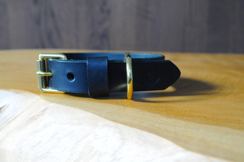 Coco Classic Collar in Petrol Blue