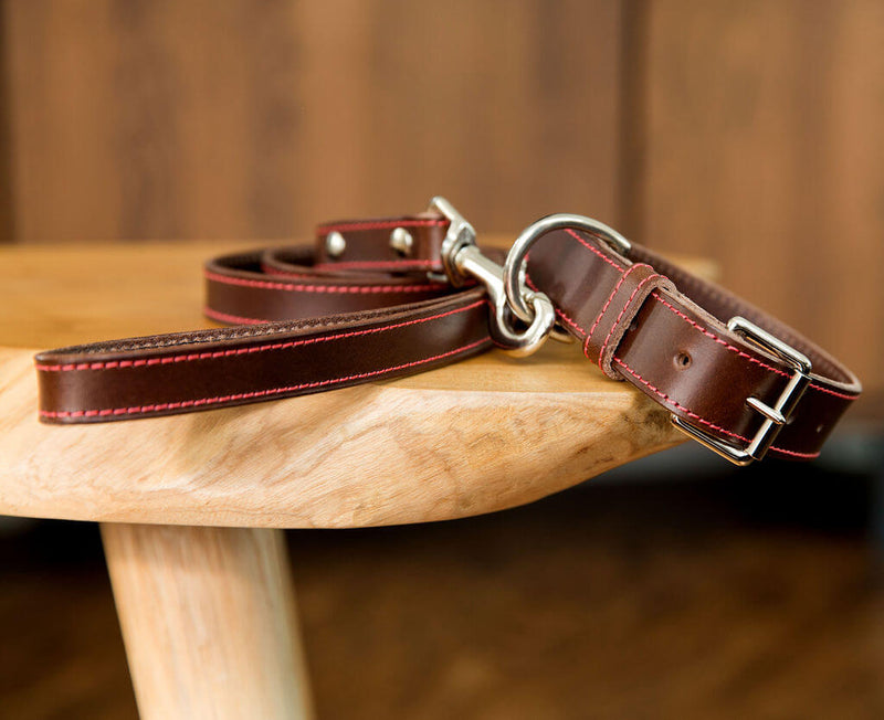 Hand Stitched Coco Classic Collar in Foresta Brown