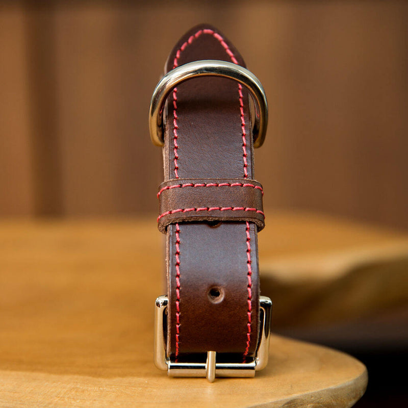 Hand Stitched Coco Classic Collar in Foresta Brown