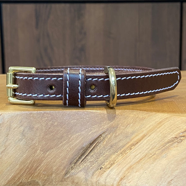 Foresta Brown Coco Classic collar with White stitch