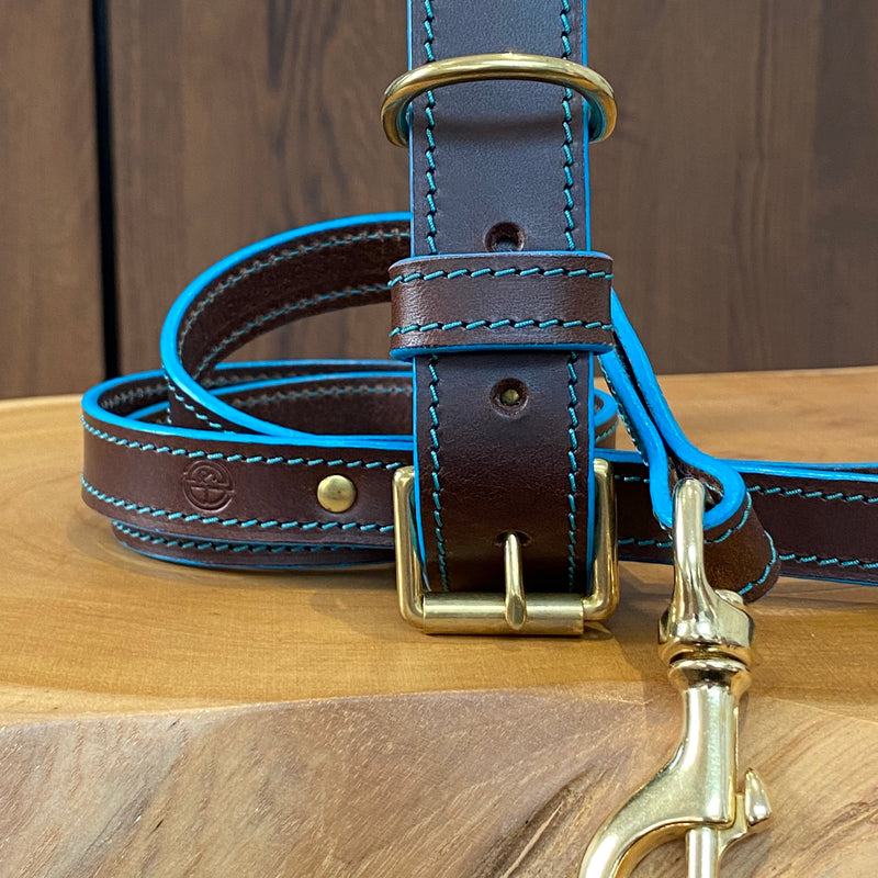 Turquoise edge Painted & stitched Coco Classic Collar in Foresta Brown