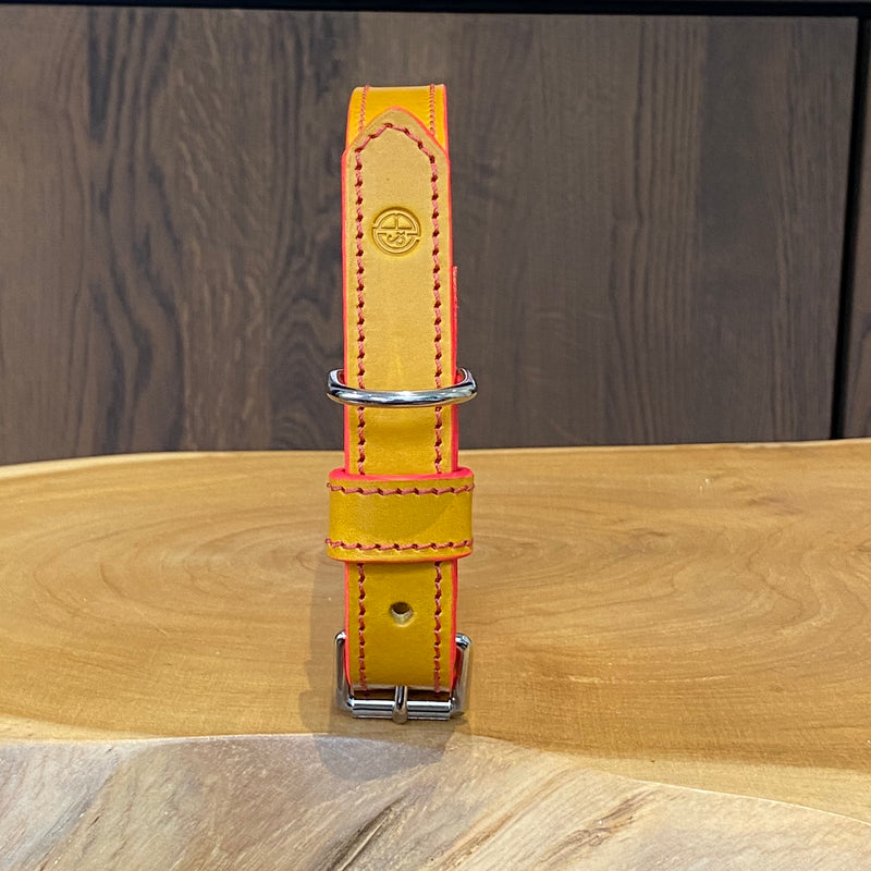 Hand Stitched Coco Classic Collar in Mustard Yellow, pink painted edge & Red stitch