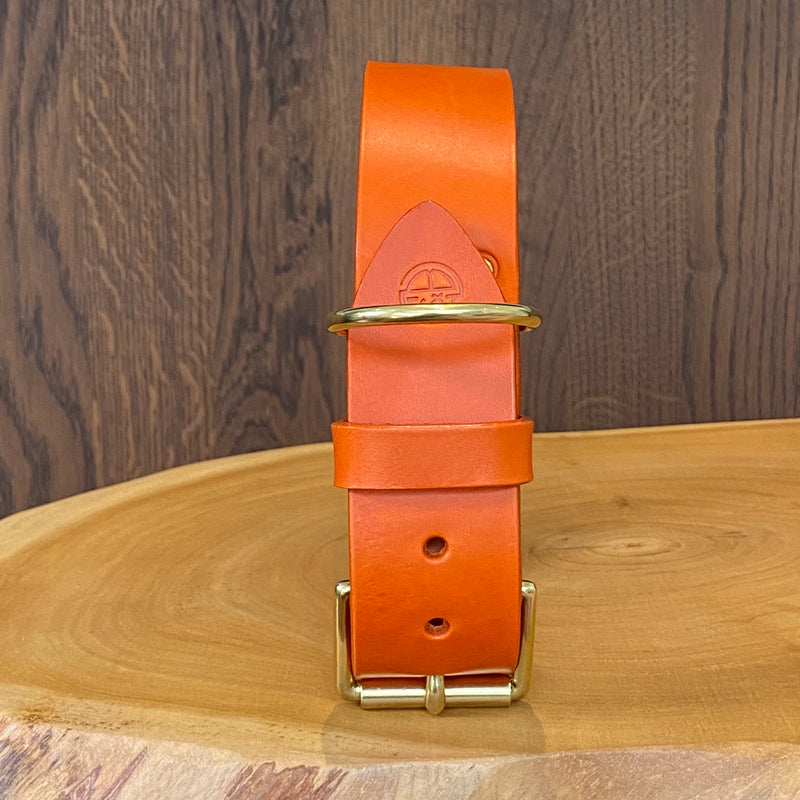 Coco Classic Collar in Orange