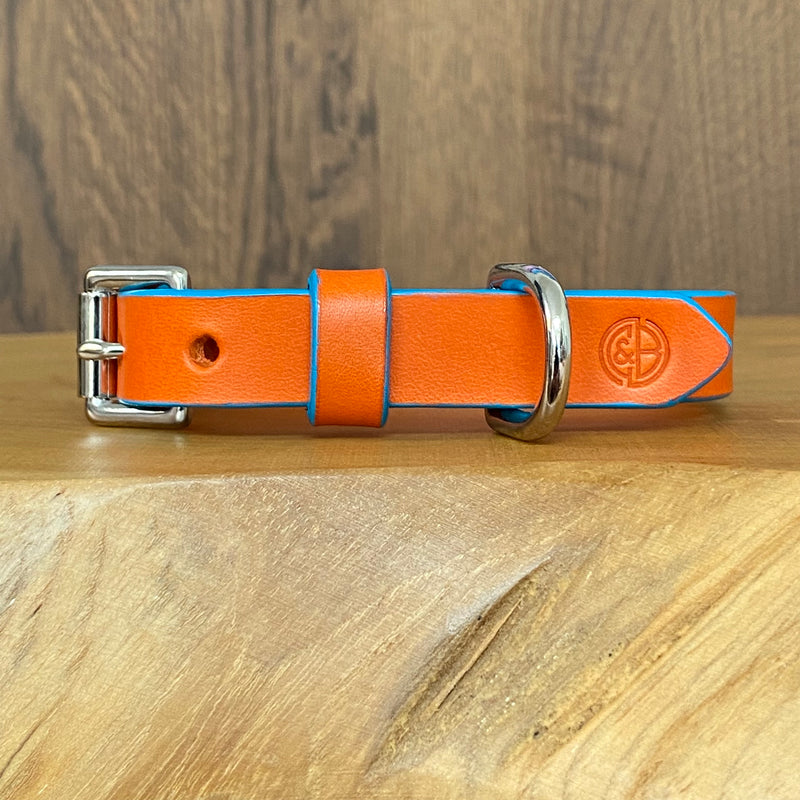 Orange leather best sale dog collar