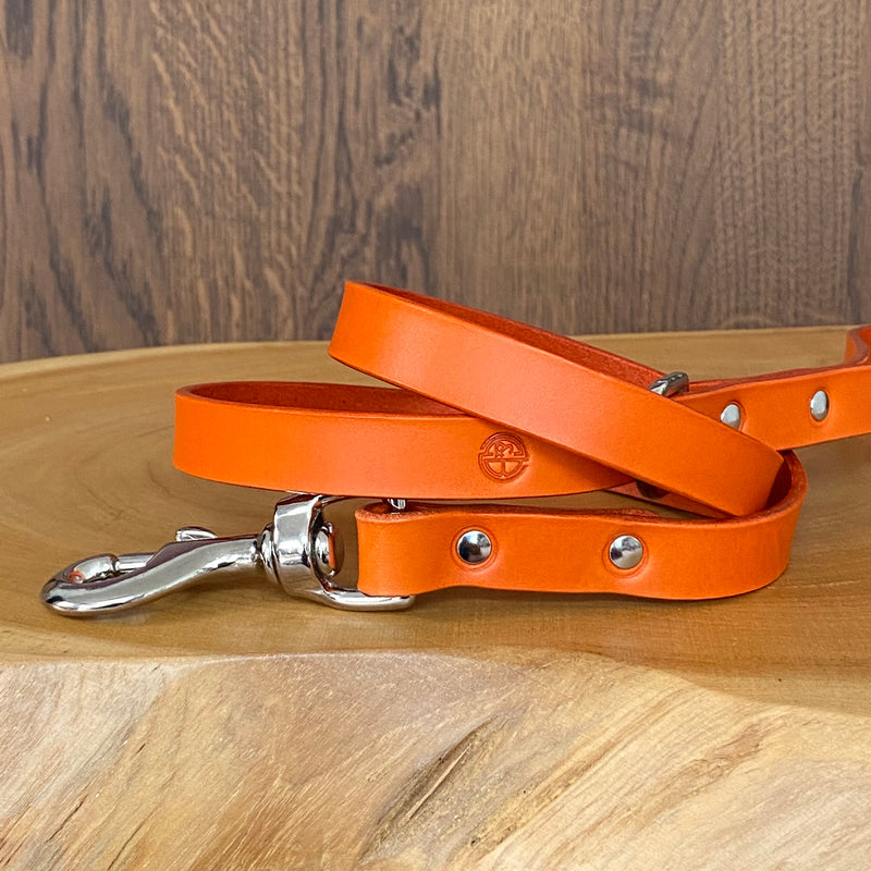 Coco Classic Collar in Orange