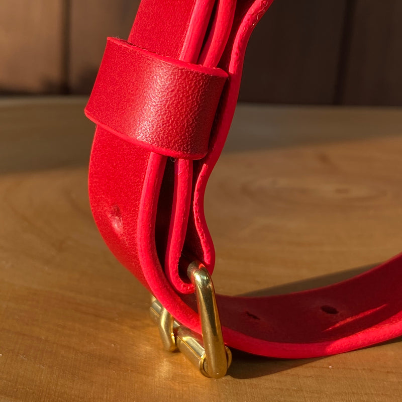 Edge Painted Coco Classic Collar in Red