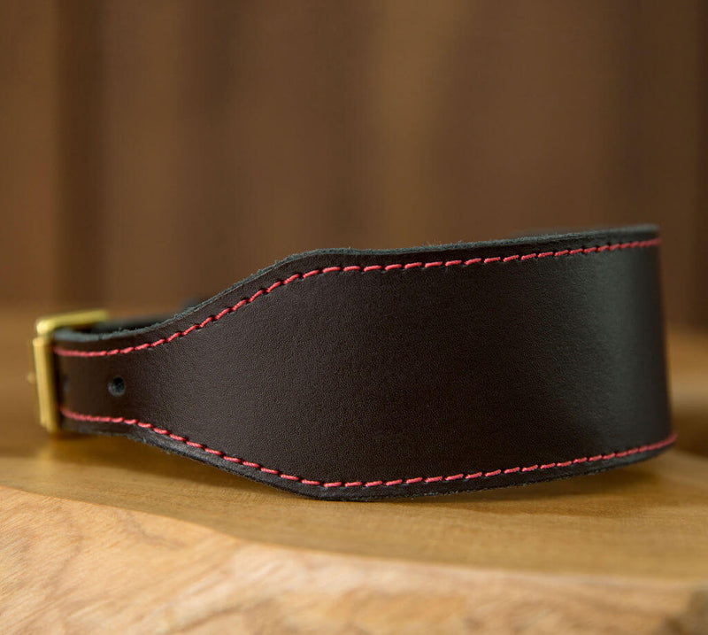 Sighthound Collar in Dark Brown with Red Stitching - Specials