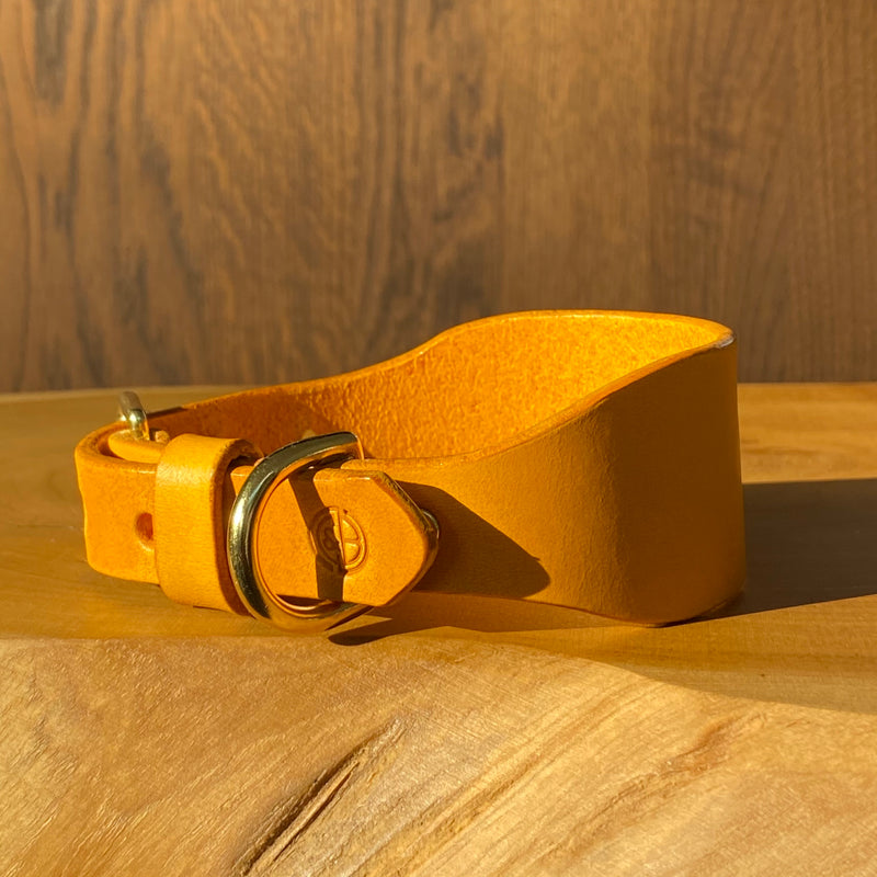 Hand Stitched Sighthound Collar in Mustard Yellow