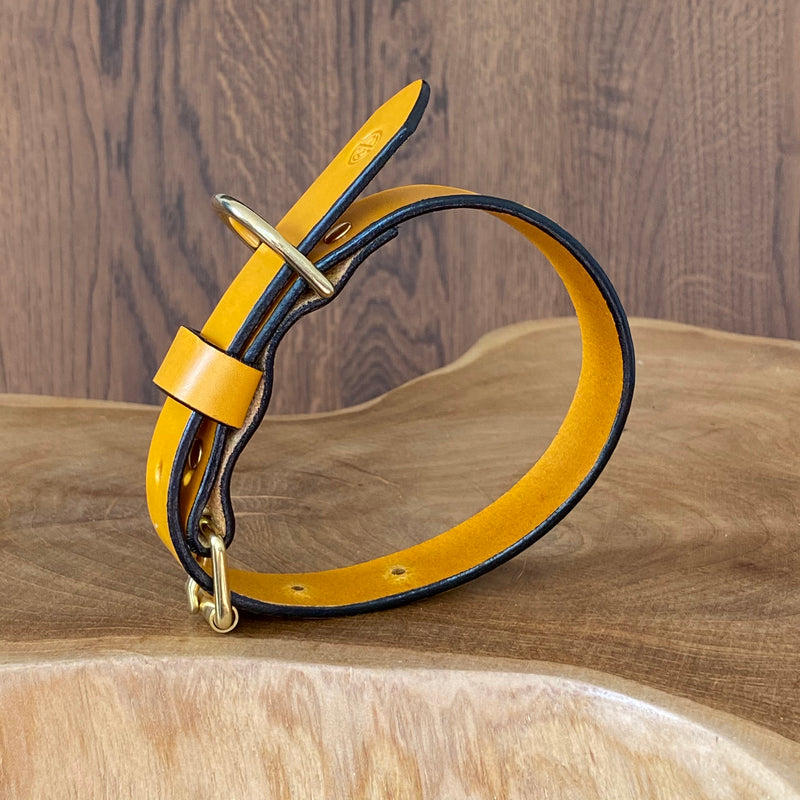 Coco Classic Collar in Mustard Yellow with Black painted edge