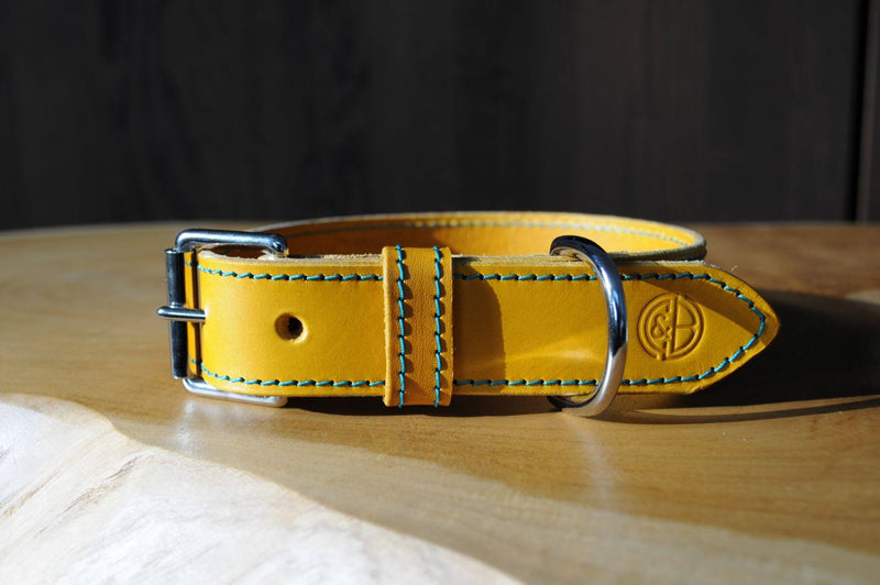 Hand Stitched Coco Classic Collar in Mustard Yellow