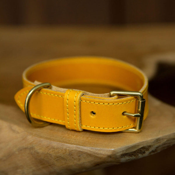 Hand Stitched Coco Classic Collar in Mustard Yellow